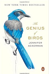 Genius_of_Birds_Ackerman_Cover