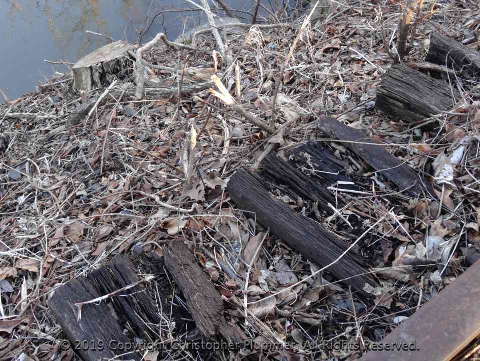tree stump, old wooden ties beneath rusting railroad tracks