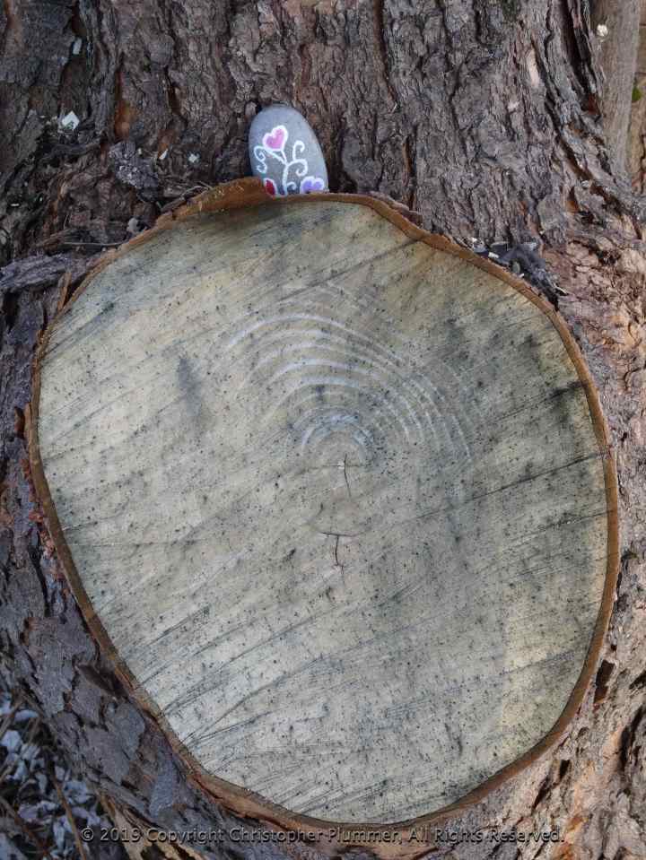 Tree stump with a painted rock - a Tombstone